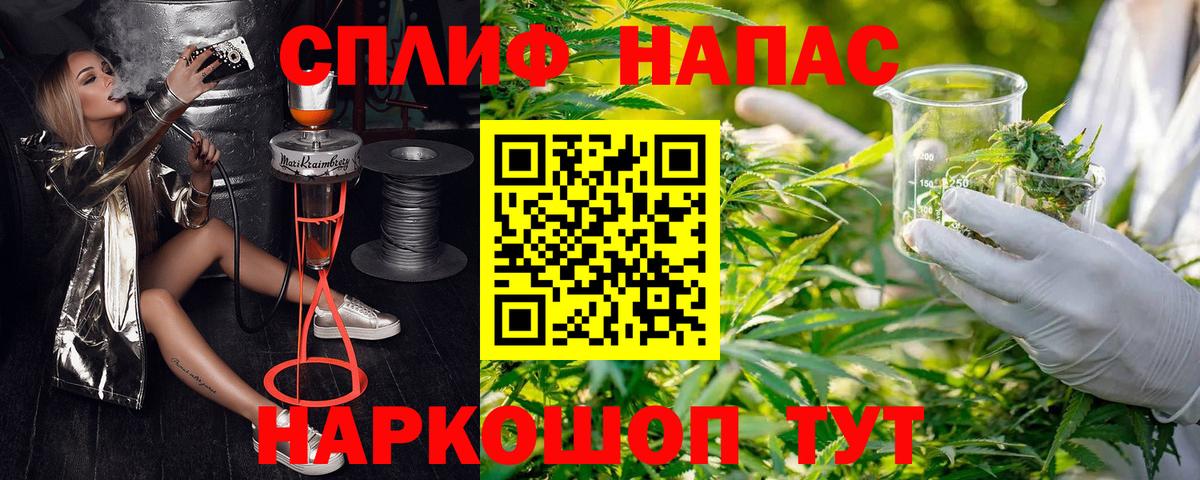 Бошки Шишки OG Kush Камышин